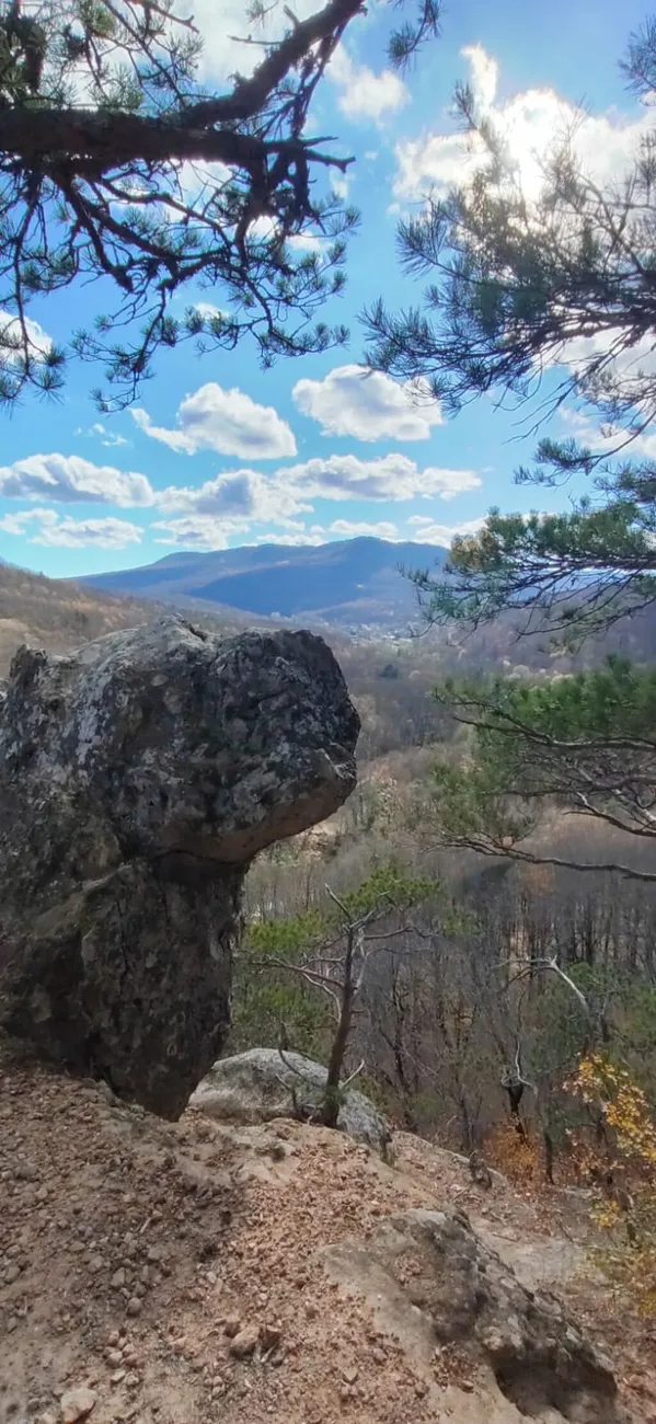 q7ExpB-qzEJkKFwr6hOdS1a7wvEw6BNxE-RMDPNh3M9PvF6PlZk72Xbg8U5lHmFuCzNC1iCa71cN_Jo1TYCbEtDF