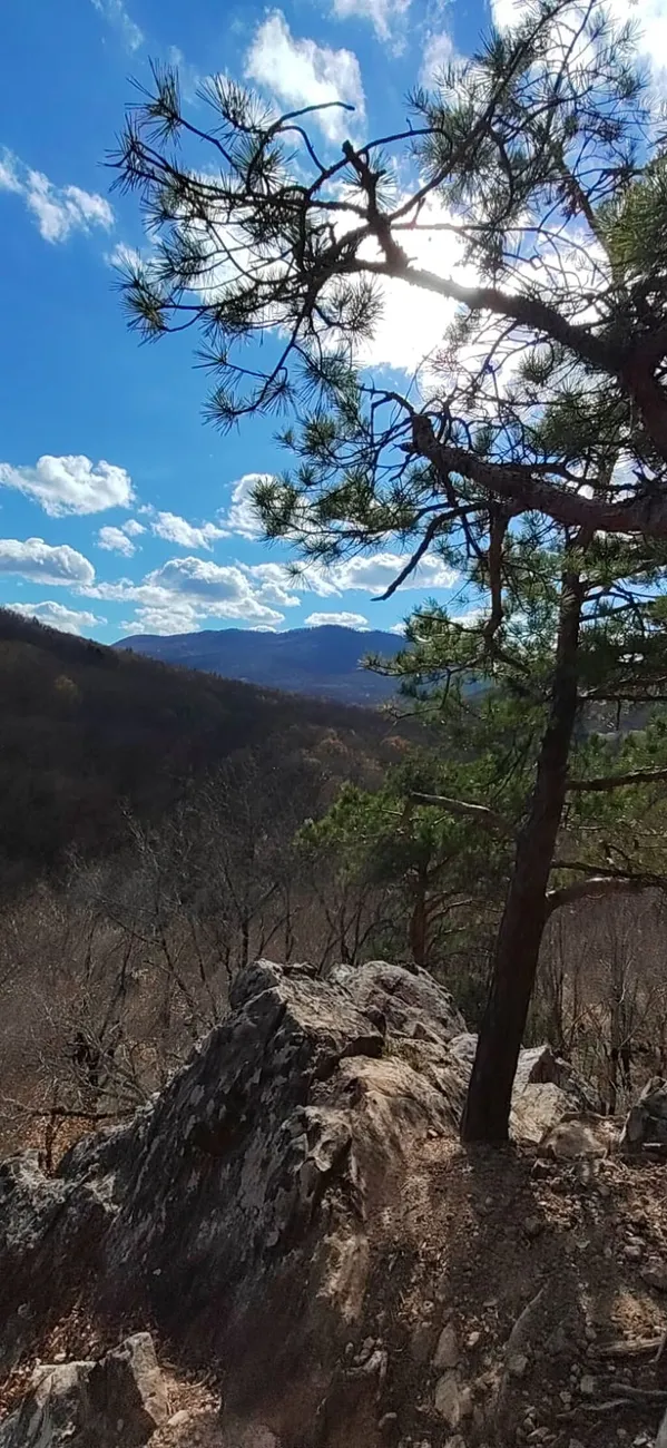 GzdHO_5AI5KY3QakXyzTDdZj18N6q-x8eVdtXG1CsfW5xYmcLLfHoDM2U00ty8BalqPPEtUd427HaSl1367ChbsW